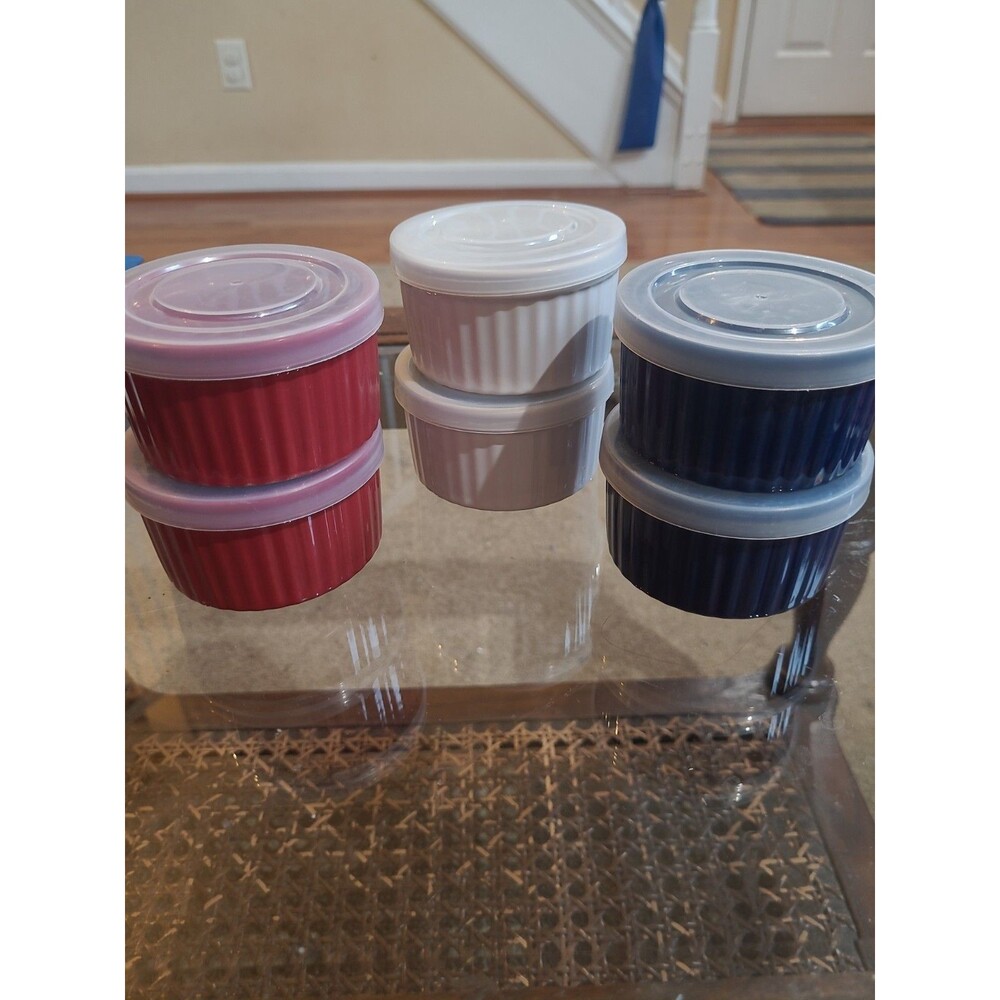 6 Ramekins with Lids 4 oz Oven, Microwave, Freezer, Diswaher Safe Multi Color